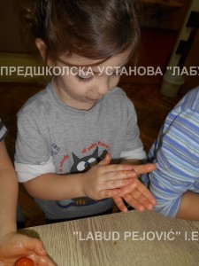 DSCN0426