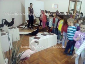 IMG_20160418_094233
