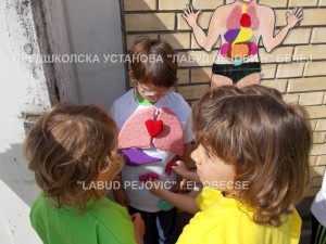 unutrašnji organi