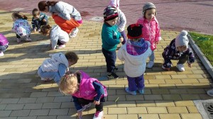 22243593_2186837158009005_1756127082_o