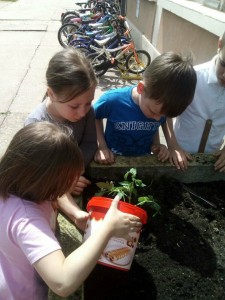 30926752_2054778058135191_1806375904_o