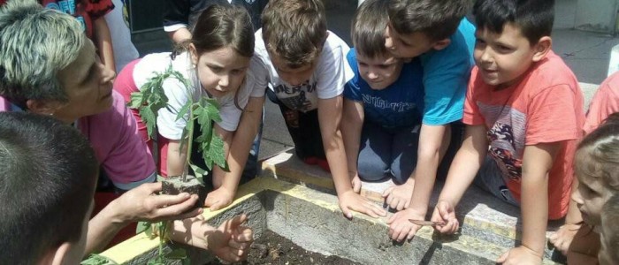 30957224_2054778034801860_32285376_o