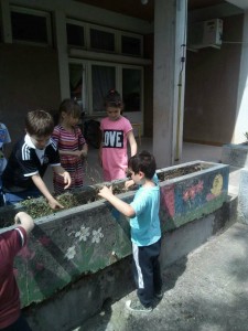 31042781_2054778038135193_674062873_o