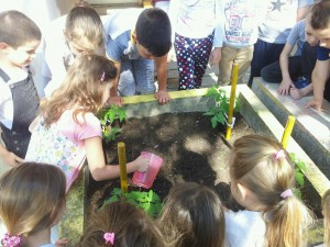 31128446_2054778024801861_294691338_o