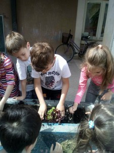 31218904_2054778051468525_919779636_o