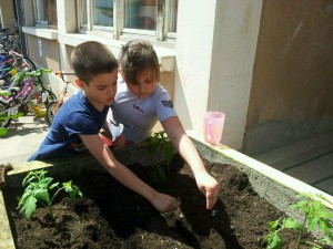 31236291_2054778081468522_428454964_o