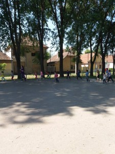 IMG-ab4bcc52f9a6ac7b71b60583a5e887c3-V