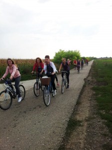 42194355_278917089394335_7176706617210044416_n