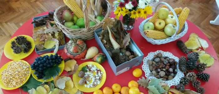 43588758_289664111758732_6709591205367250944_n