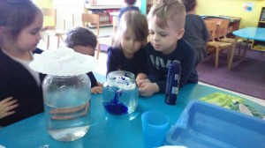 53289743_2516276065053587_1753712993239040000_n