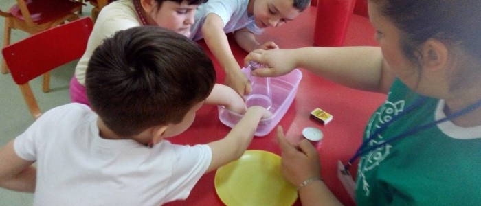 53369445_392138928249182_3243593227885871104_n