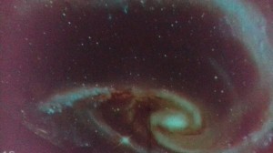 53761262_2355605811130654_755364063080349696_n