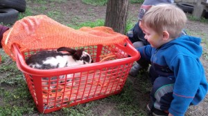 0-02-05-8ae4d1ef402d314eae55c0c6d32bf28948a4a44a24ba516f55236436ee03d8b8_bd914f6f