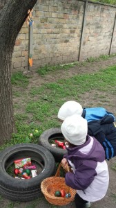 0-02-05-928110c628d19d24170f4c0d55a9117e450a9f54a29e6193d070a9227c027b1b_de9ada3