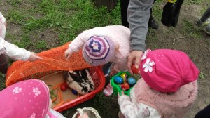 0-02-05-d5b994dc54dee4ace8e84341d320f0d6bae15491ace25181a94fb4174d8e50bf_53af030f