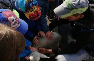 56994117_427285814699888_6491372764690120704_n