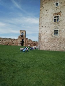 59975199_348770552663774_5023931470717124608_n