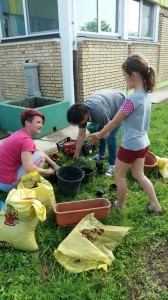 62217593_1358951290896412_1457693268694269952_n