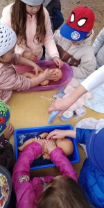 64956742_356574841579358_4445730668248301568_n