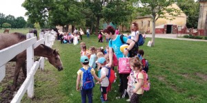 65143326_353656932012085_5267033010582061056_n