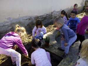 0-02-04-5f95d2b319d2b0d7d8ea91e0e45089e1d5c635c46cadfc954ce60938ee4f15d5_372b2e68