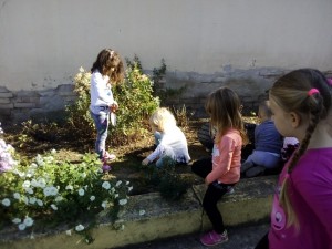 0-02-04-75653441e22c1ff58c2fb7f618d1ab497770662c1633ca75b343a69c948f3d4d_4f08d08f