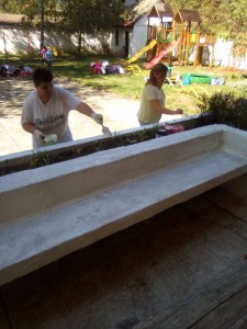 72838250_414627396112455_677532993614512128_n