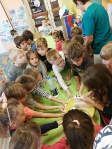 IMG-63869f1a290f5825916a6171dc79fef8-V