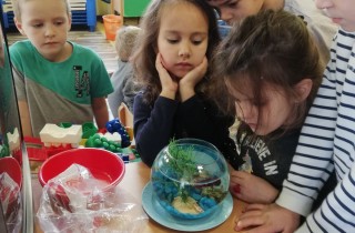 IMG-d1621b24dd50906171b26761cca2c846-V