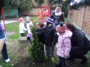 IMG_20191112_083339