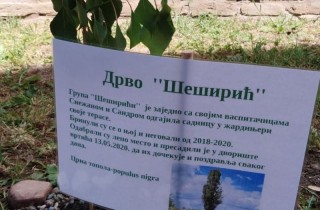 96563527_2609073152739631_5050628514982658048_n