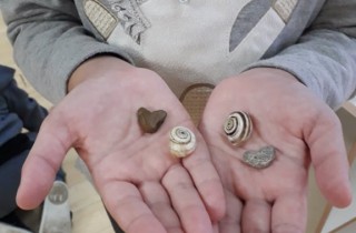 121550797_340338607185214_6811277382664933454_n