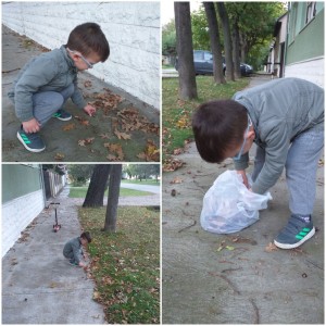 IMG-ecbd7c7003c546f1f6aa83040185ae8f-V