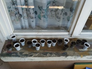 126537246_687240508644868_204982152331679948_n