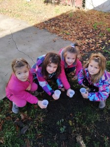 127223165_413892479794439_5436130440686547031_n