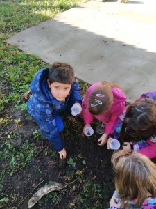 127449339_2753134421626977_2163812514458491249_n