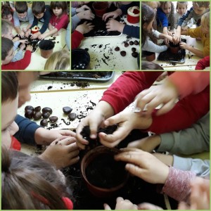 rsz_incollage_20201111_120529274