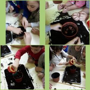 rsz_incollage_20201111_121309945