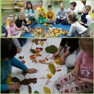 rsz_incollage_20201113_151658070