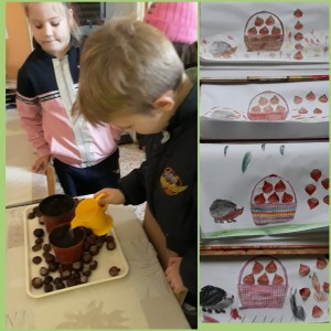 rsz_incollage_20201113_190237639