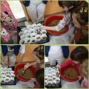 rsz_incollage_20201215_074603552