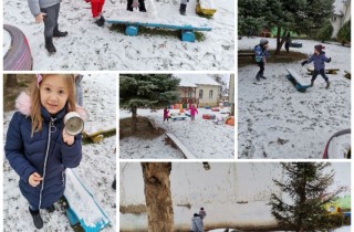 Collage_20210119_172512_resized_20210119_053807076