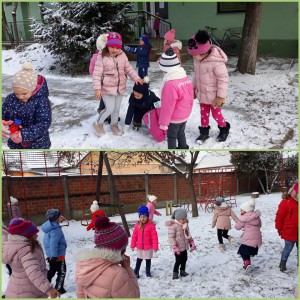 rsz_incollage_20210119_171905672