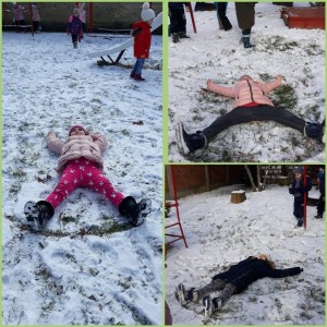 rsz_incollage_20210119_172118020