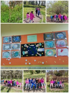 Collage_20210422_120922_resized_20210422_123228205