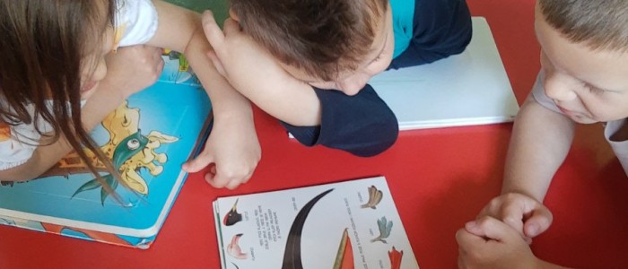 IMG-cb8ba0f70e06c71489d99ee0a1139b95-V